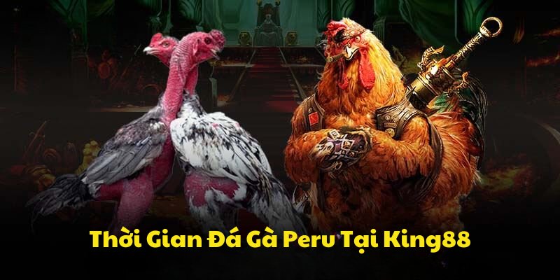 Thuật ngữ cá cược đá gà King88 Giải mã ngôn ngữ chiến thắng